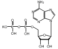 百灵威/J&K 腺苷5'-二磷酸单钾盐二水合物，165708-250MG CAS：72696-48-1，98% 售卖规格：250毫克/瓶