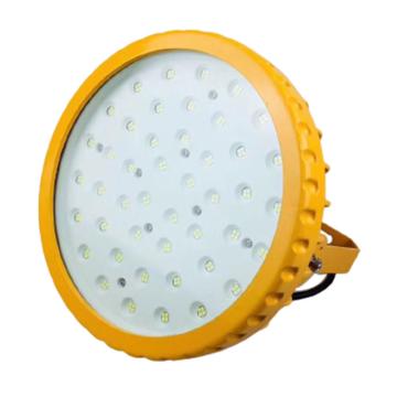 达序 LED防爆泛光灯，TFB02-DX30 白光，30W，含U型支架 售卖规格：1套