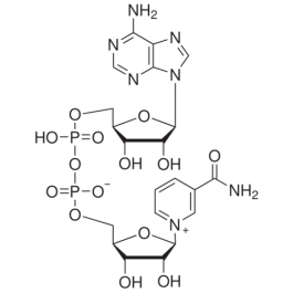 CAS：53-84-9|β-烟酰胺腺嘌呤二核苷酸(NAD)|97%|5G|2-8℃