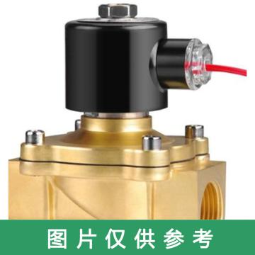 远大阀门 黄铜电磁阀，2W-500-50，220V