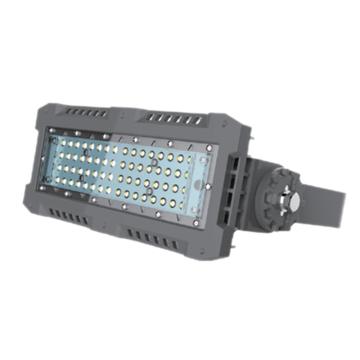 智圣谱 LED模组泛光灯，70W，ZS-HT520，60°配光，含U型支架，单位：个