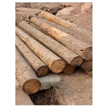 曜麟 圆木（煤矿专用），φ17-22cm 长4m，根