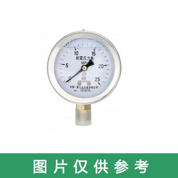 雷尔达 耐震压力表，YN-150ZT 0-25Mpa 1.5级 M20*15