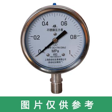 上自仪 不锈钢耐震压力表，Y-250BFZ0-1.6MPa/M20×1.5/1.6级/304 径向不带边 售卖规格：1个