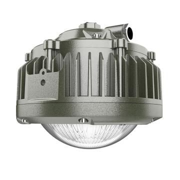 欧辉照明 LED防爆平台灯，OHBF8231-80W，白光，短玻璃款，吊杆安装，不含吊杆，单位：套