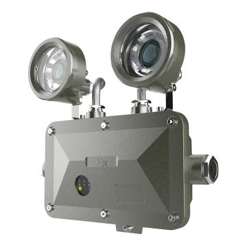 欧辉照明 双头应急防爆灯，ZFZD-E2W-OHBF8190-2×3W，白光，单位：套