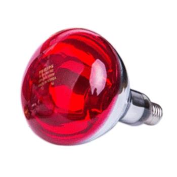 飞利浦 红外线灯泡，IR 250 RH IR2 250W，E27，10个/箱，单位：箱