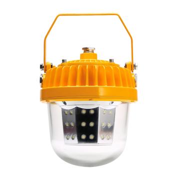 沈阳亮典 防爆应急平台灯，60W，白光，BLD878-J，含U型支架，单位：个