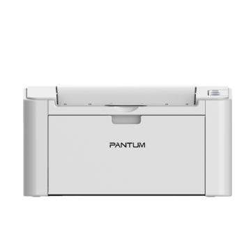 奔图/PANTUM 黑白激光打印机，P2505N 单功能自动双面\NET 售卖规格：1台