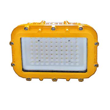翰明光族HMGZU LED防爆泛光灯，GNLC8160，功率50W 白光，支架式安装，单位：个