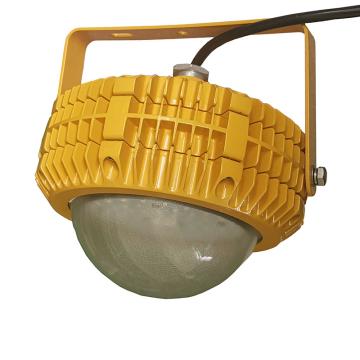 赛思康 LED防爆平台灯，30W，白光，SKB601-30W，含U型支架，单位套