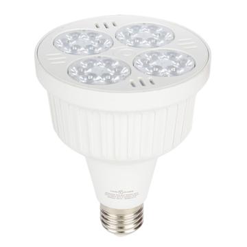 开尔照明 LED Par30，36W，6500K，白光 售卖规格：1个