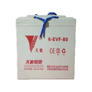 天能 蓄电池，6-EVF-80A （个） 售卖规格：1个