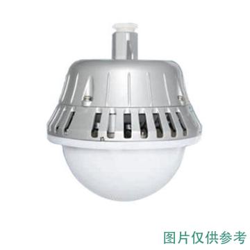 华荣/WAROM 固定式LED灯具，GC203-XL50IIB 输入电压AC/DC24~36V，不含安装配件 售卖规格：1个