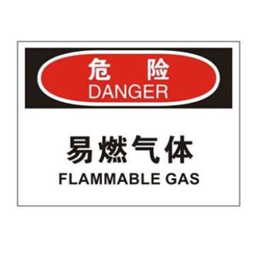 Blive OSHA危险标识-易燃气体，自粘性乙烯，250×315mm，BL-S-32841 售卖规格：1包