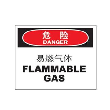 Blive 火灾消防类危险标识危险-易燃气体，自粘性乙烯，250×315mm，BL-S-33067 售卖规格：1包