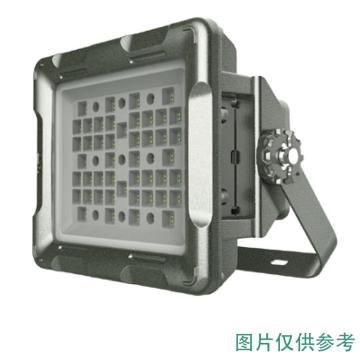 智圣谱 LED防爆泛光灯，ZS-BF2140B 白光，200W，含U型支架 售卖规格：1个