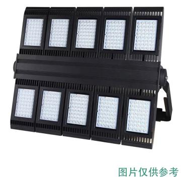 智圣谱 LED模组泛光灯，800W，白光，ZS-HT521，60°配光，含U型支架，单位：个