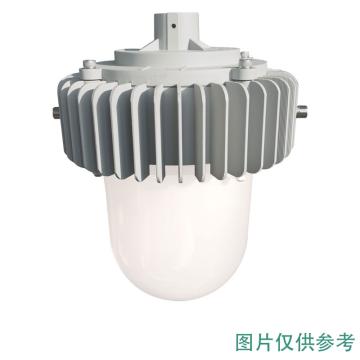 雷发照明 LED平台灯，LF-PT-50-06 50W，白光，5000K，吊杆安装，90°配光，不含吊杆 售卖规格：1个