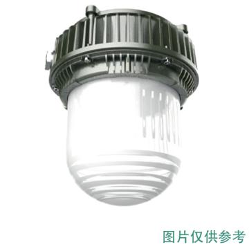 智圣谱 LED防爆平台灯，60W，白光，ZS-BF890，长玻璃透镜，吊杆式安装，不含吊杆，单位：个