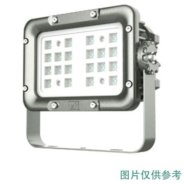 智圣谱 LED防爆泛光灯，60W，白光，ZS-BF2140，含U型支架，单位：个