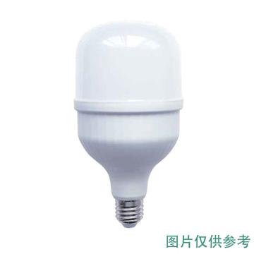 开尔照明 LED灯泡，护眼柱形灯，60W，E27，白光，T160，160×245，4800lm，单位：个