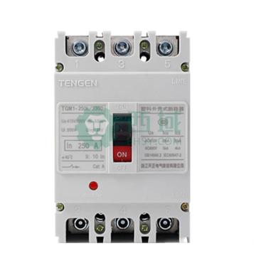 天正电气 塑壳断路器，TGM1-250L/32002 250A 固定式板前 售卖规格：1个