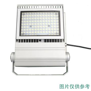 耀嵘照明 LED泛光灯，30W，白光，YR-FL220-W30，含U型支架，单位：个