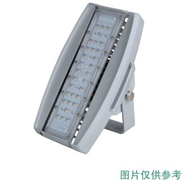 耀嵘照明 LED隧道灯，30W，白光，YR-TL290-W30，安装方式壁装，单位：个