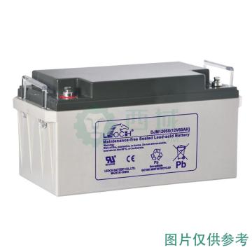 理士 AGM系列阀控式密封铅酸蓄电池，DJM1265 (如需配线提前沟通) 售卖规格：1节