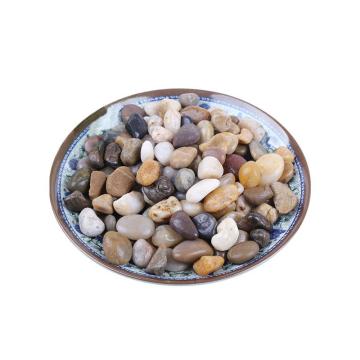 安赛瑞 鹅卵石（5kg），500062，高抛五彩石石径0.8-1.2cm 售卖规格：1包