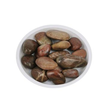 安赛瑞 鹅卵石（5kg），500066，高抛红石石径2-4cm 售卖规格：1包