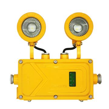 日昇之光 消防应急照明灯具，RC-ZFZD-E6W-RFBJ01，6W，单位：套