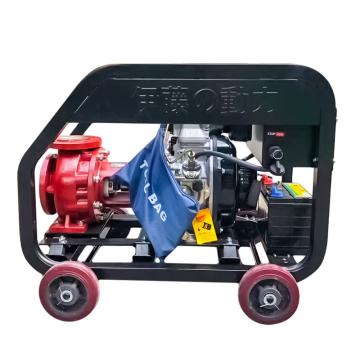 伊藤动力/YITENG 双缸消防高压泵，YT65-50，套氟 售卖规格：1台