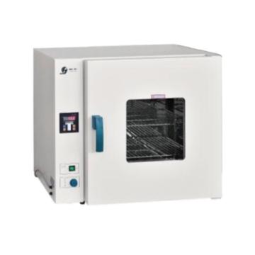 精宏 电热恒温鼓风干燥箱，DHG-9123A 控温室温+10-200℃，内尺寸550×355×550mm 售卖规格：1台