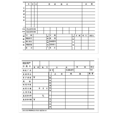 立信 固定资产分类卡吊卡，281-50 50K 50页/束 售卖规格：1束