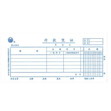 立信 付款凭证内资凭证，120-48 48K 5本/包 (借贷式) 售卖规格：1包