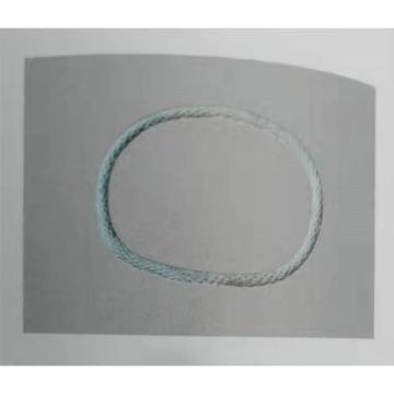 泰兴泰力 圆环型环形吊带，φ30*4m,2T 售卖规格：1根