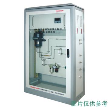 日立信 在线氢气纯度分析仪，7866+7872D-LH在线氢气纯度分析 售卖规格：1台
