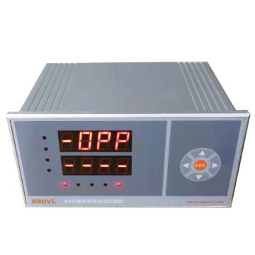 瑞博朗 智能温度测控报警仪，RSW1001-GA(PT100)-21CB