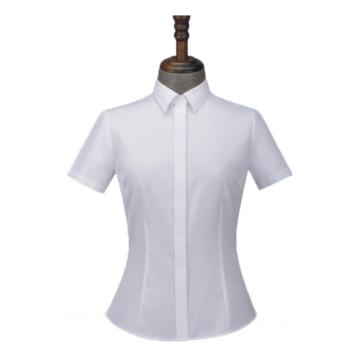 圣凯罗 短袖衬衫，HYD5605-短 女士白色全棉免烫，35-43 售卖规格：1件