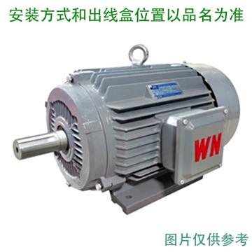 皖南电机 变频调速三相异步电动机，YE4VF100L2-4 3kw B3 售卖规格：1台