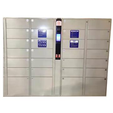 科荣 人脸识别柜，整体尺寸W2860×D500×H1800，35门 非人为损坏，维保一年 售卖规格：1台