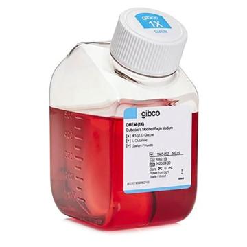 Gibco DMEM培养基，高糖，11965092 ，500ml 售卖规格：1瓶