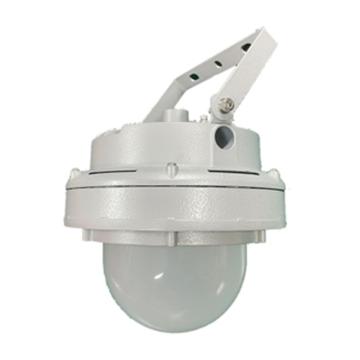 大地之光 LED平台灯，DDZG-AN113-60 60W，白光 售卖规格：1个