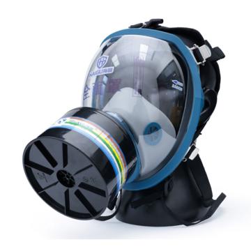 海固 防毒面具套装，HG-800+综合滤毒罐D2（综合型）