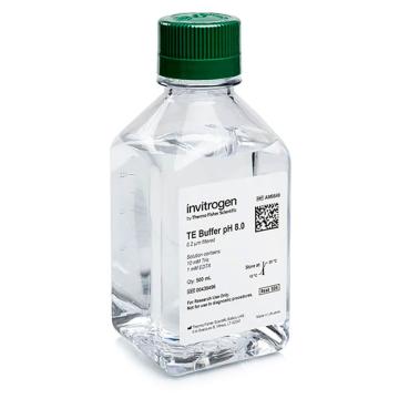 Invitrogen GeneArt TE、pH 8.0、无 Rnase，AM9849 ，500ml 售卖规格：1瓶