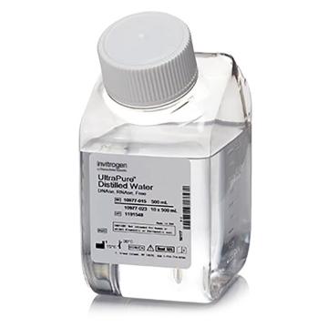 Invitrogen GeneArt UltraPure™ 无 DNase/RNase 蒸馏水，10977015 ，500ml 售卖规格：1瓶