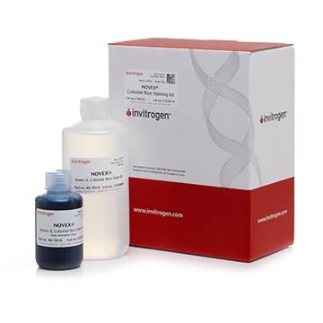 Invitrogen GeneArt Colloidal 胶体蓝染色试剂盒，LC6025 ，1 kit 售卖规格：1套