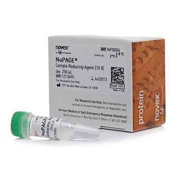 Invitrogen GeneArt NuPAGE™ 样品还原剂 (10X)，NP0004 ，250 µL 售卖规格：1瓶
